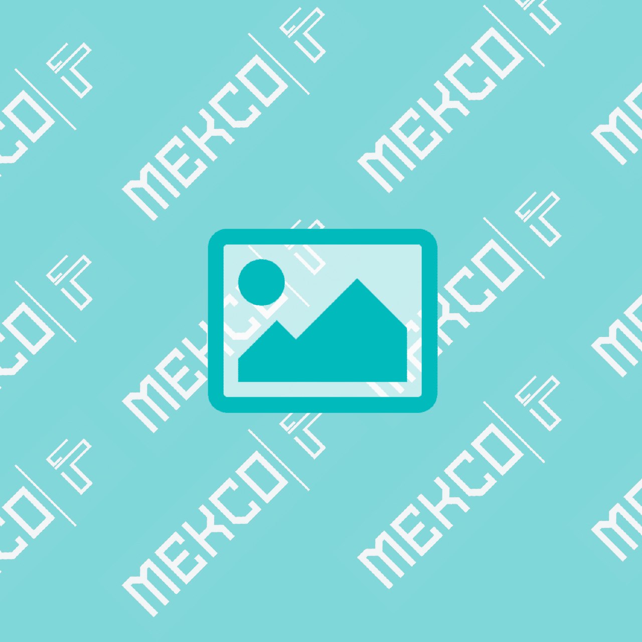 Cherne-GAS TEST GAUGE & BODY 0-100 PSI-019718